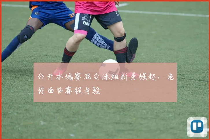 公开水域赛混合泳组新秀崛起，老将面临赛程考验