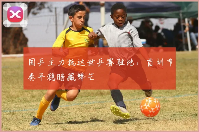 国乒主力抵达世乒赛驻地，首训节奏平稳暗藏锋芒