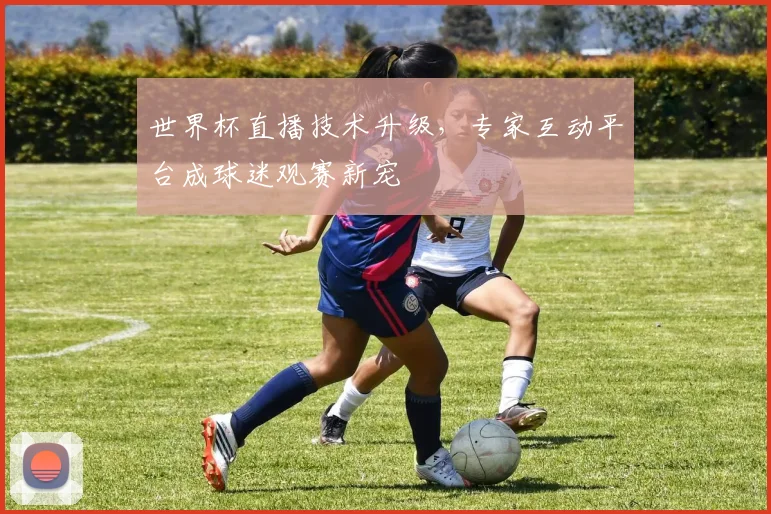 世界杯直播技术升级，专家互动平台成球迷观赛新宠